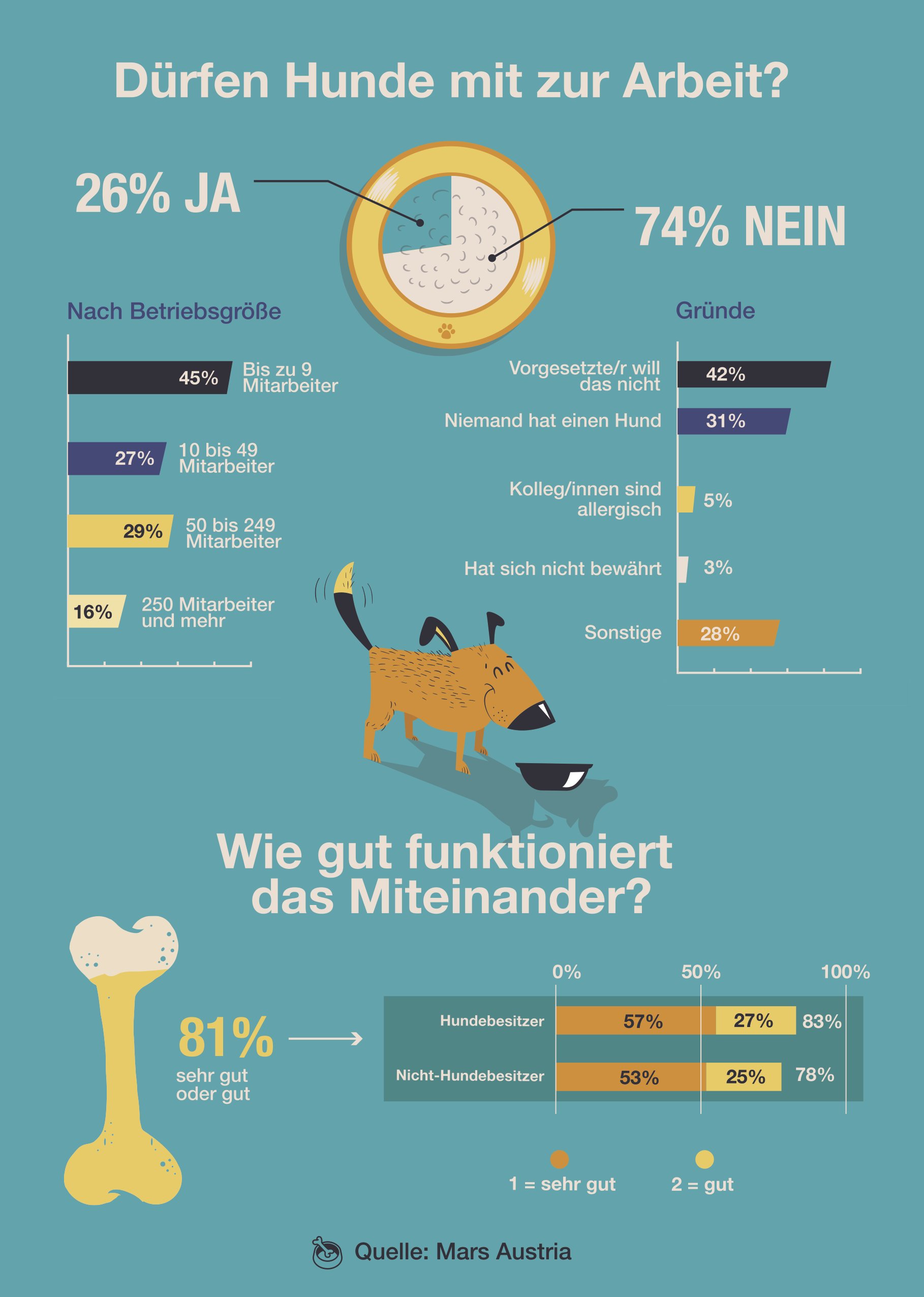 Infografik Hunde am Arbeitsplatz