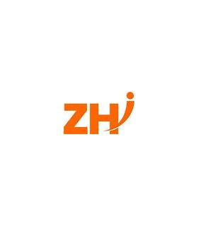 ZHI Consulting GmbH